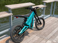 -Talaria x3 frame guards-